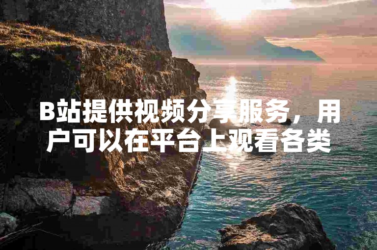 B站提供视频分享服务，用户可以在平台上观看各类内容。