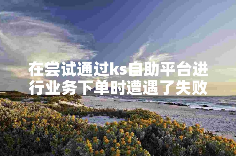 在尝试通过ks自助平台进行业务下单时遭遇了失败，该平台似乎是一个用于购买抖音粉丝的在线服务网站。