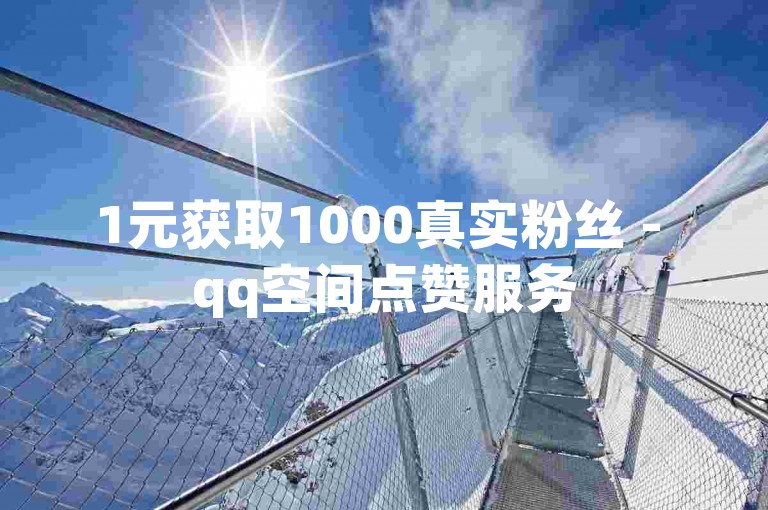1元获取1000真实粉丝 - qq空间点赞服务