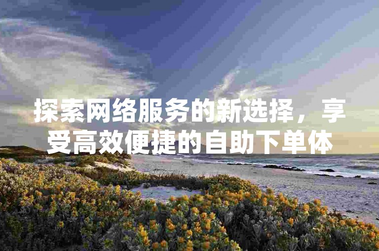 探索网络服务的新选择，享受高效便捷的自助下单体验，尽在ks赞在线平台，提供最优惠的dy业务解决方案。