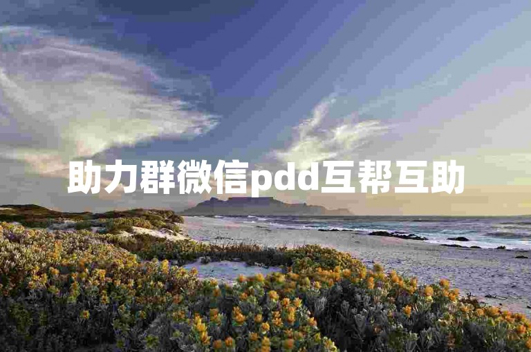 助力群微信pdd互帮互助