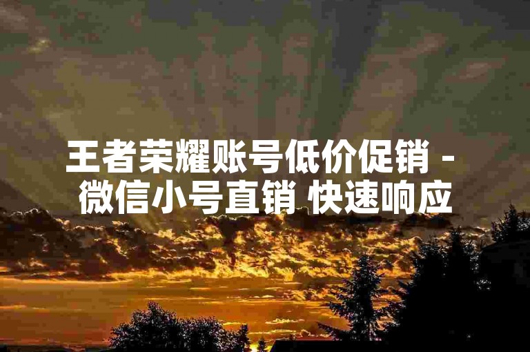 王者荣耀账号低价促销 - 微信小号直销 快速响应