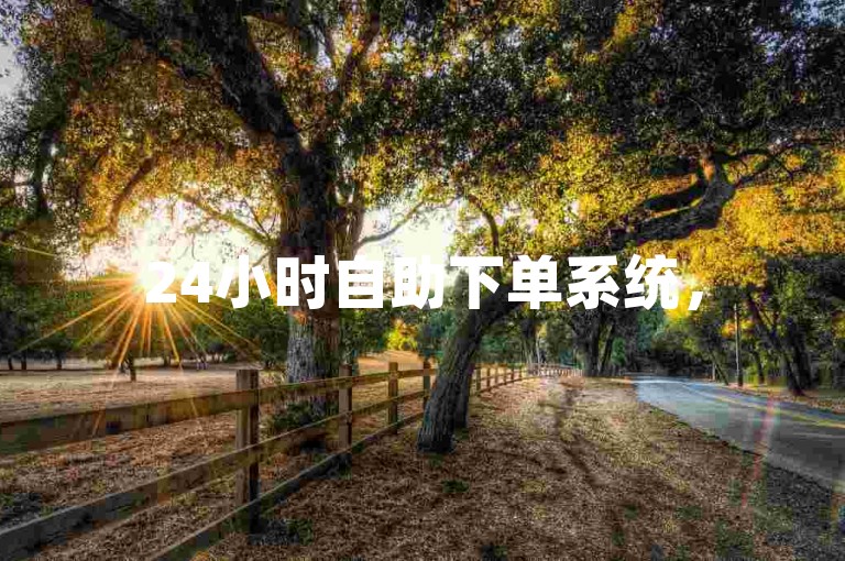 24小时自助下单系统，520刷量平台。
