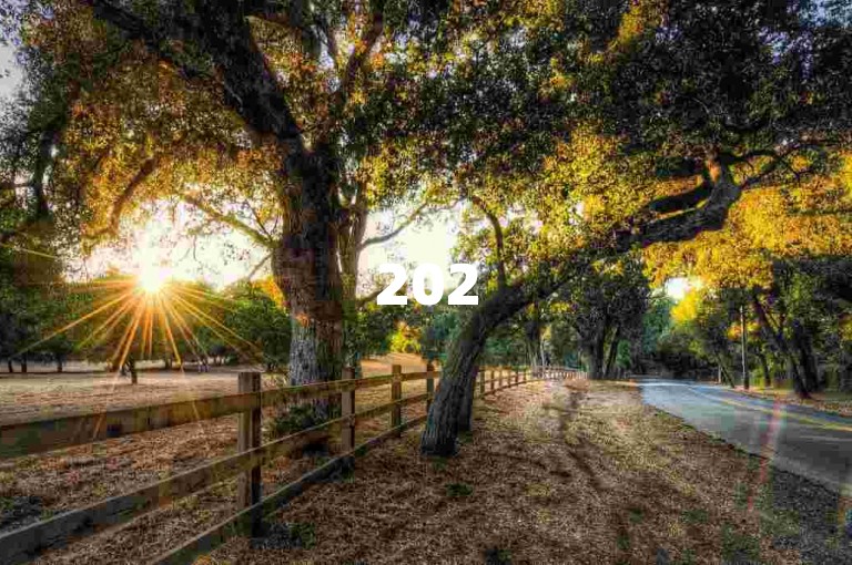 2025年拼多多砍价微信群{多多互助平台}
