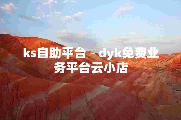 ks自助平台 - dyk免费业务平台云小店