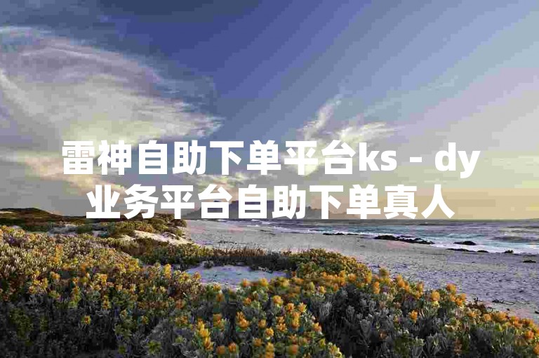 雷神自助下单平台ks - dy业务平台自助下单真人