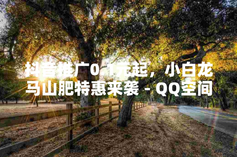 抖音推广0.1元起，小白龙马山肥特惠来袭 - QQ空间点赞仅需一毛，万次曝光轻松达成。