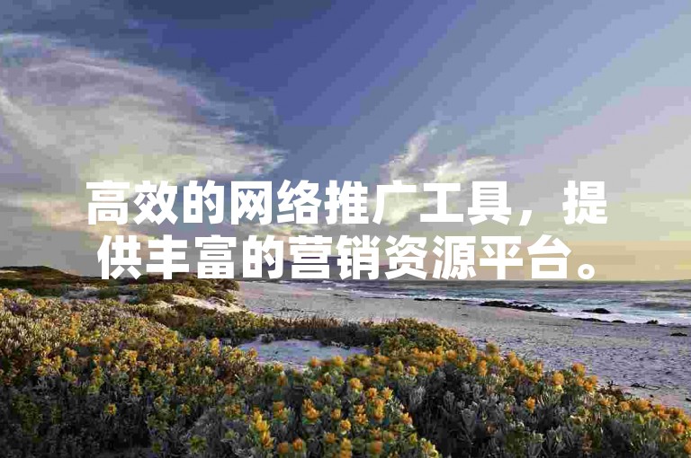 高效的网络推广工具，提供丰富的营销资源平台。