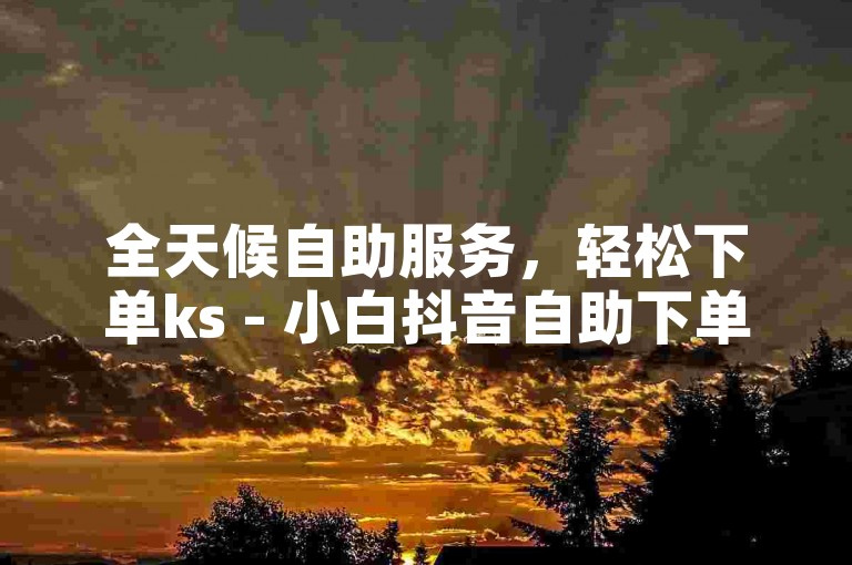 全天候自助服务，轻松下单ks - 小白抖音自助下单。