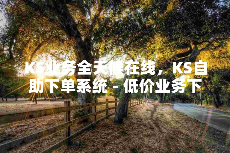KS业务全天候在线，KS自助下单系统 - 低价业务下单平台 - 24小时自助下单商城快速响应独家优惠