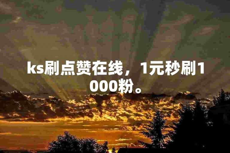 ks刷点赞在线，1元秒刷1000粉。
