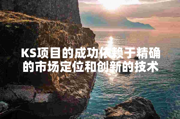 KS项目的成功依赖于精确的市场定位和创新的技术应用。