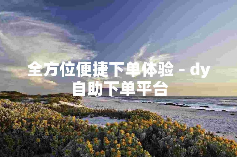 全方位便捷下单体验 - dy自助下单平台