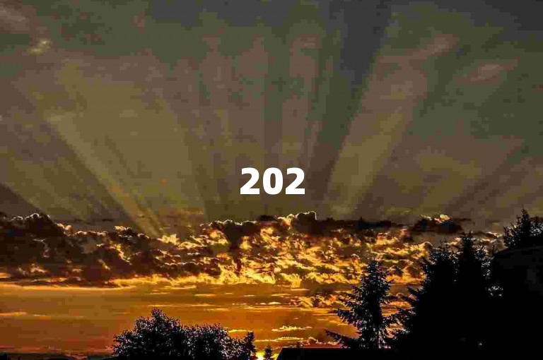 2025拼多多助力具体要多少人呢？