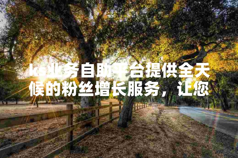 ks业务自助平台提供全天候的粉丝增长服务，让您的社交媒体影响力迅速提升。