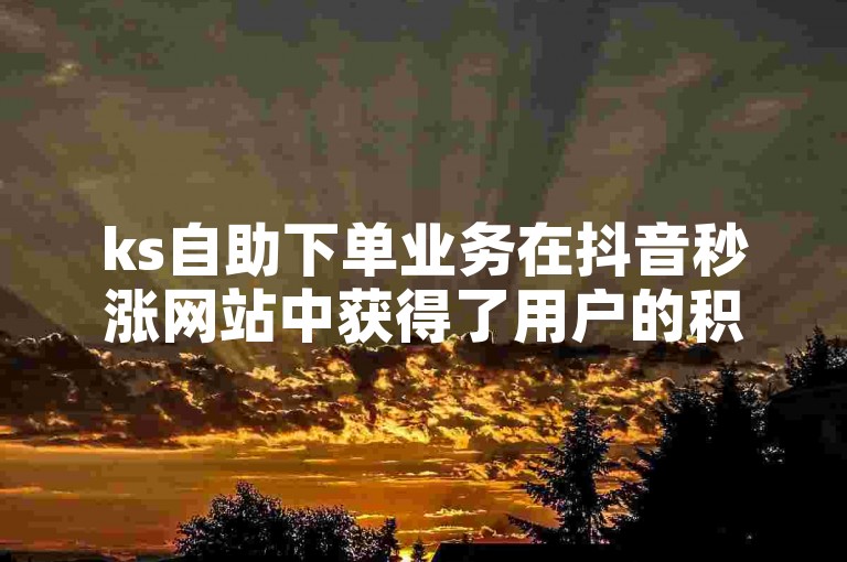 ks自助下单业务在抖音秒涨网站中获得了用户的积极评价，证明了其服务的高效性和可靠性。