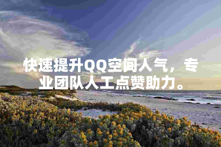 快速提升QQ空间人气，专业团队人工点赞助力。