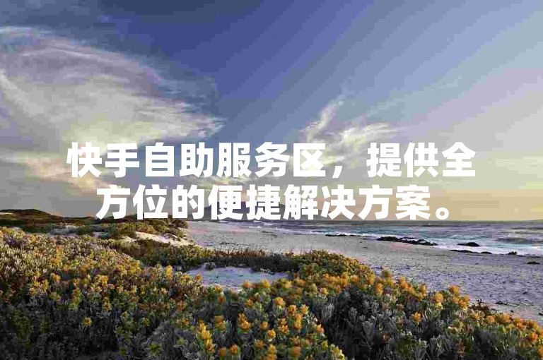 快手自助服务区，提供全方位的便捷解决方案。