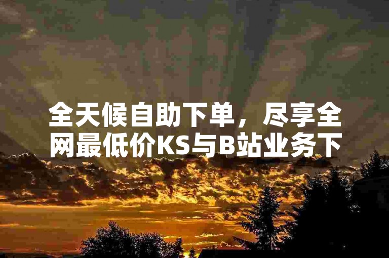 全天候自助下单，尽享全网最低价KS与B站业务下单平台的便捷服务。