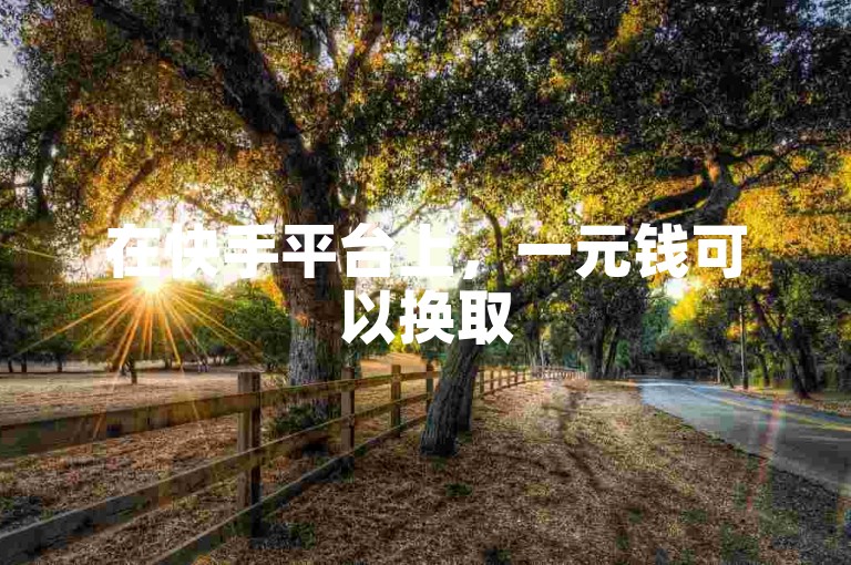 在快手平台上，一元钱可以换取500个赞，同时提供免费的自助点赞服务。