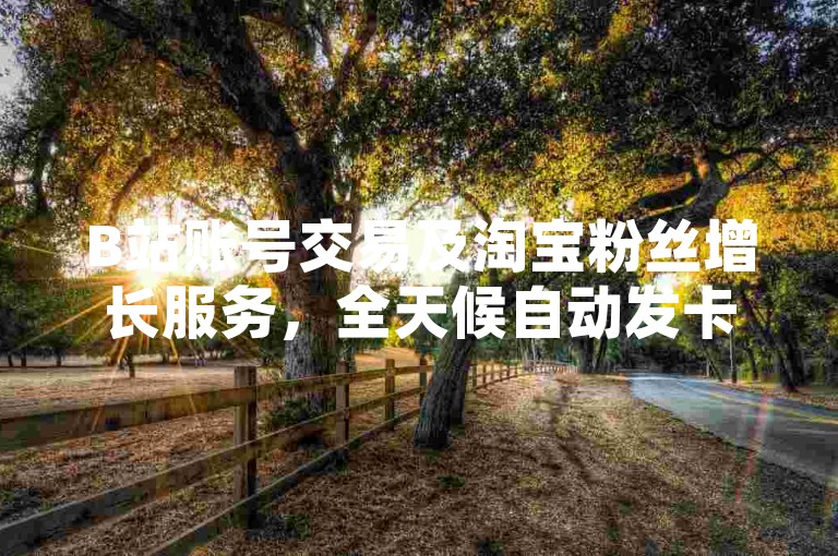 B站账号交易及淘宝粉丝增长服务，全天候自动发卡网助力您的社交媒体影响力提升。