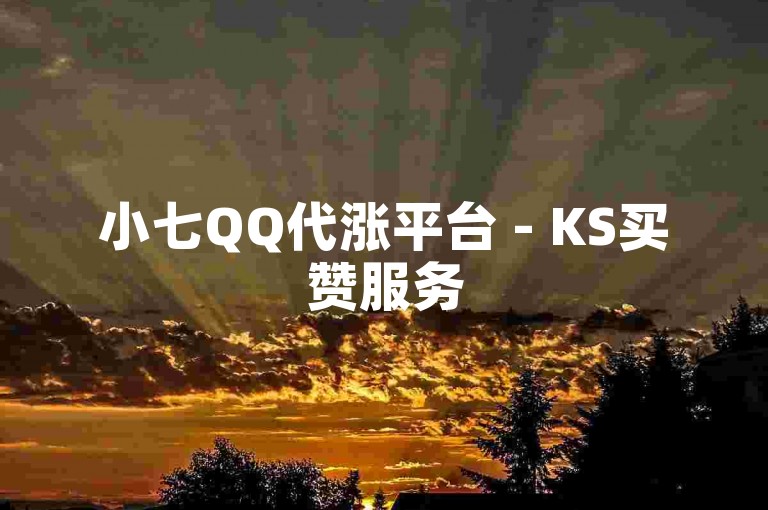 小七QQ代涨平台 - KS买赞服务