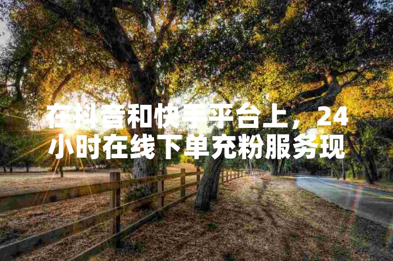 在抖音和快手平台上，24小时在线下单充粉服务现已全面免费。