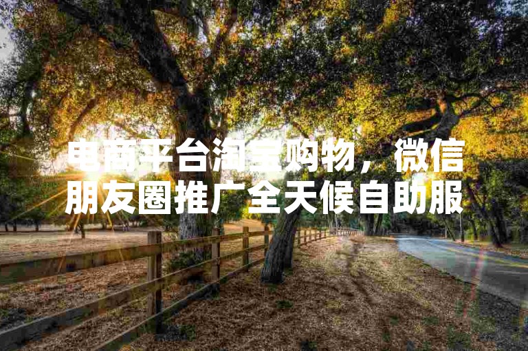 电商平台淘宝购物，微信朋友圈推广全天候自助服务便捷。