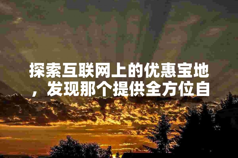 探索互联网上的优惠宝地，发现那个提供全方位自助服务且价格亲民的在线平台。