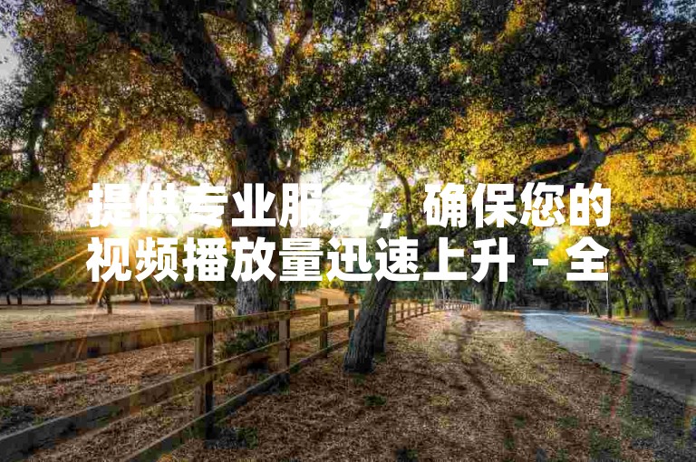 提供专业服务，确保您的视频播放量迅速上升 - 全天候在线接单平台。