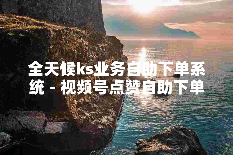 全天候ks业务自助下单系统 - 视频号点赞自助下单系统