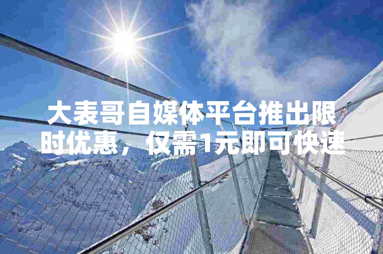 大表哥自媒体平台推出限时优惠，仅需1元即可快速增加1000名粉丝。