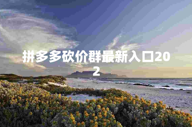 拼多多砍价群最新入口2025年，微信群免费加入方法{pdd助力工具}。