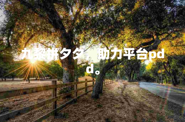 九黎拼夕夕，助力平台pdd。