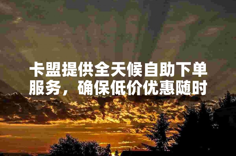 卡盟提供全天候自助下单服务，确保低价优惠随时可享。
