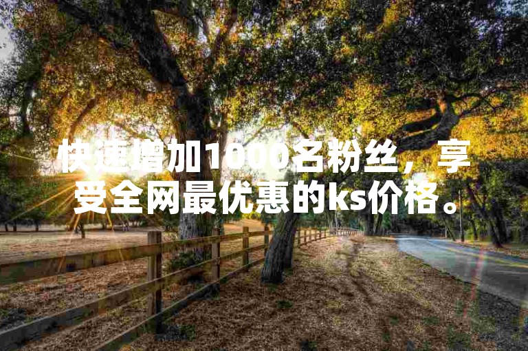 快速增加1000名粉丝，享受全网最优惠的ks价格。