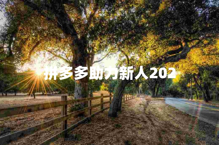 拼多多助力新人2025年拼多多官方免费助力群火热开启！