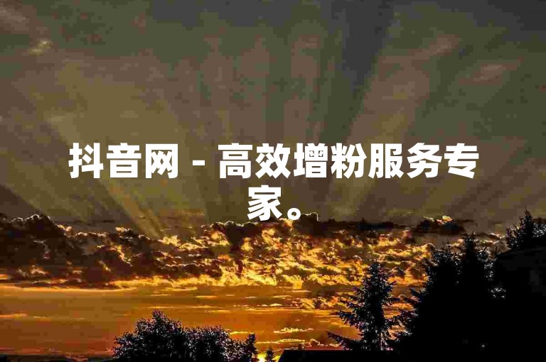 抖音网 - 高效增粉服务专家。