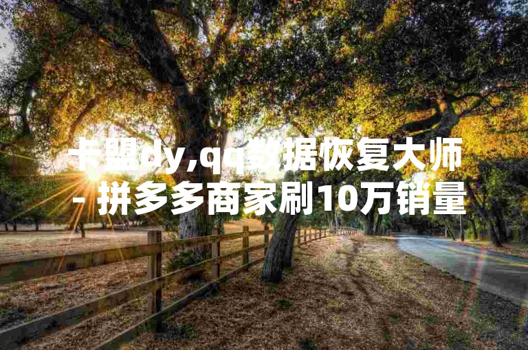 卡盟dy,qq数据恢复大师 - 拼多多商家刷10万销量 - QQ空间转发量购买平台