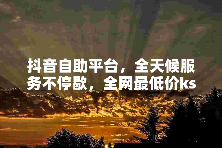 抖音自助平台，全天候服务不停歇，全网最低价ks，24小时自助下单。