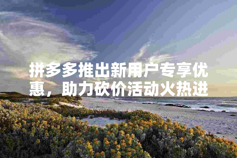 拼多多推出新用户专享优惠，助力砍价活动火热进行中。