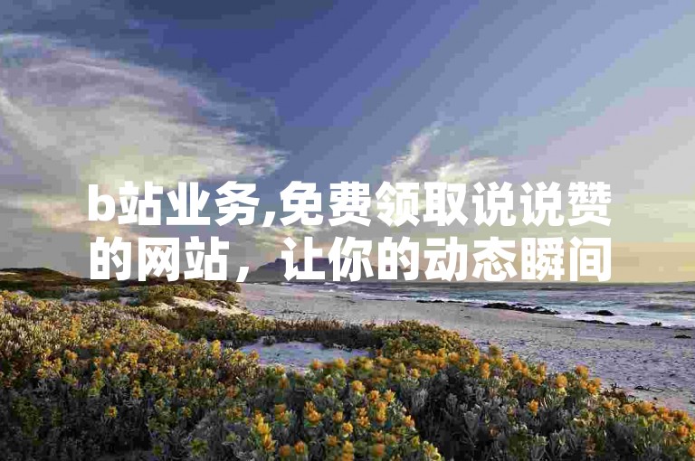 b站业务,免费领取说说赞的网站，让你的动态瞬间获得更多关注。