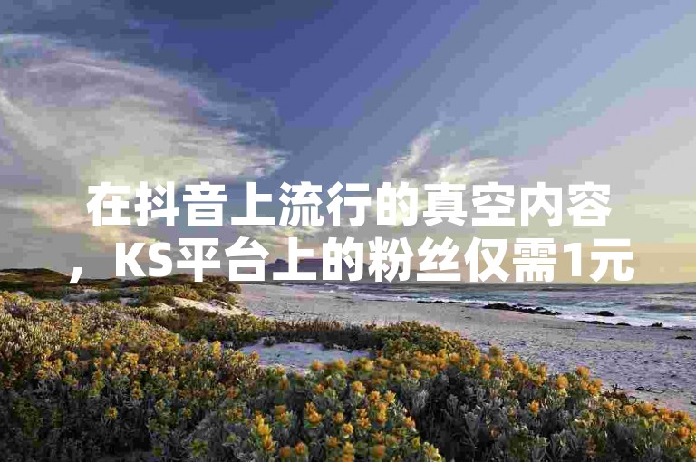 在抖音上流行的真空内容，KS平台上的粉丝仅需1元即可获得100个，CFHD卡盟提供低价发卡服务。