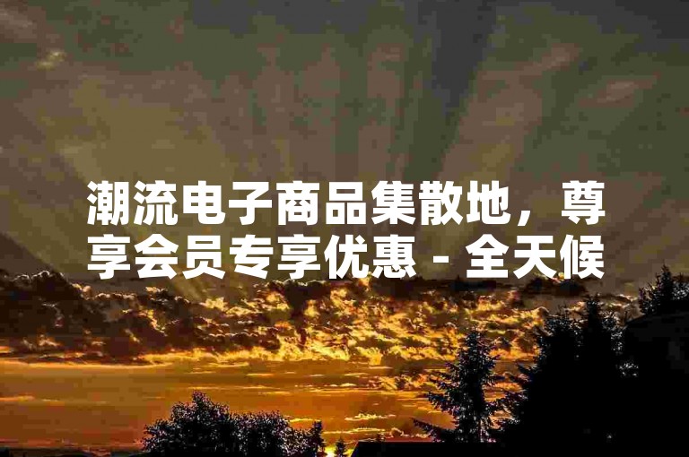 潮流电子商品集散地，尊享会员专享优惠 - 全天候自助购物体验 - 创新科技服务应用软件