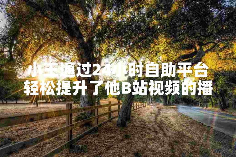 小王通过24小时自助平台轻松提升了他B站视频的播放量。