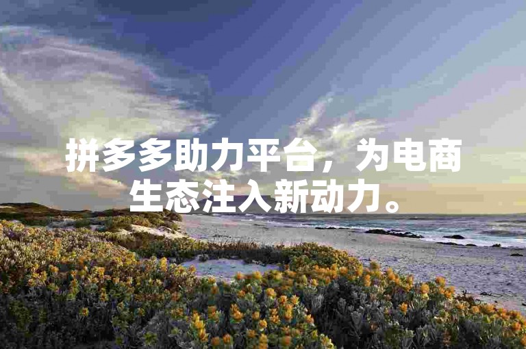拼多多助力平台，为电商生态注入新动力。