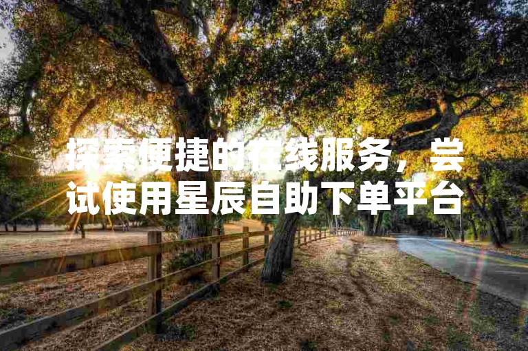 探索便捷的在线服务，尝试使用星辰自助下单平台，轻松完成dy应用的下载。