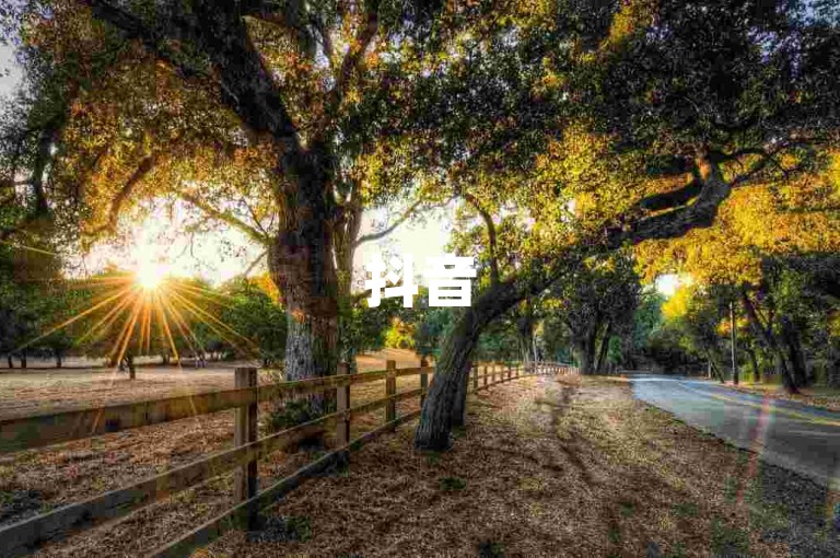 抖音50个点赞快速增加 - 抖音点赞服务自助平台。