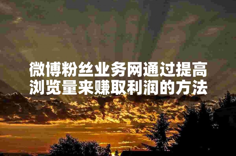 微博粉丝业务网通过提高浏览量来赚取利润的方法是利用精准营销和内容优化。