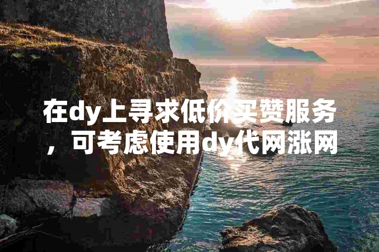 在dy上寻求低价买赞服务，可考虑使用dy代网涨网提供的优惠方案。